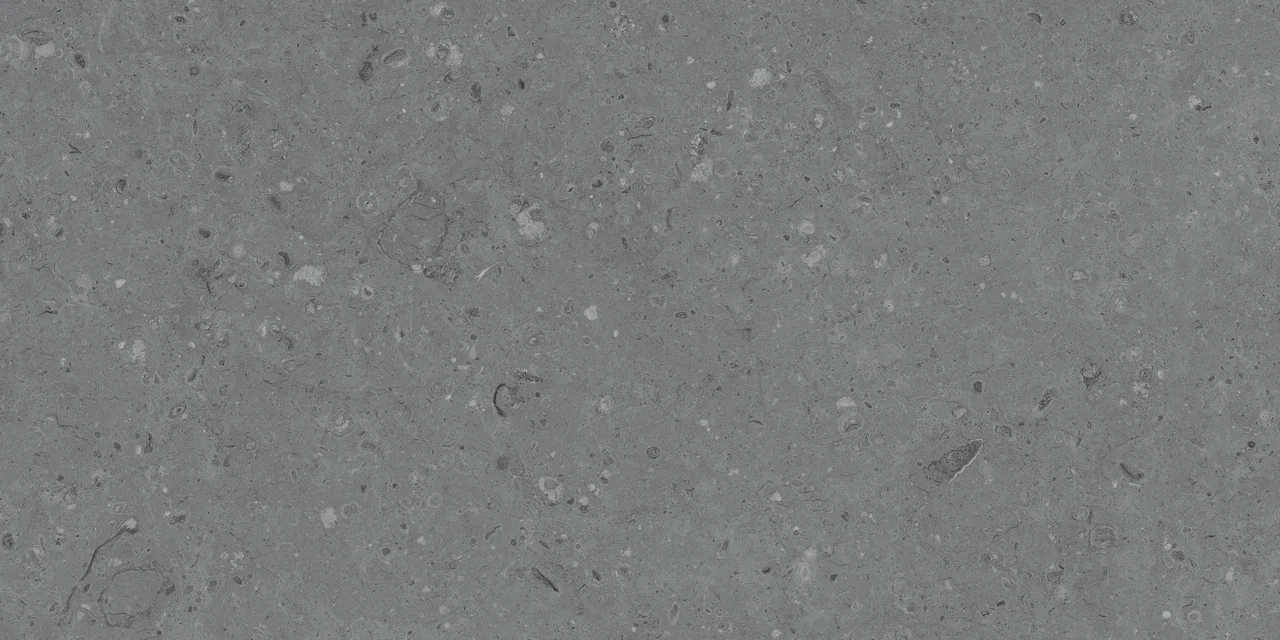 Comfort Ammonite Grey Matt 60x120