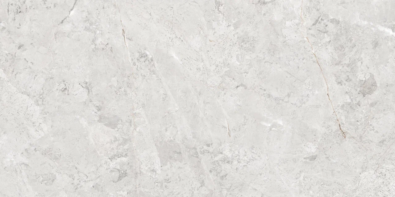Stone Grey Stone Palace Matt 60x120