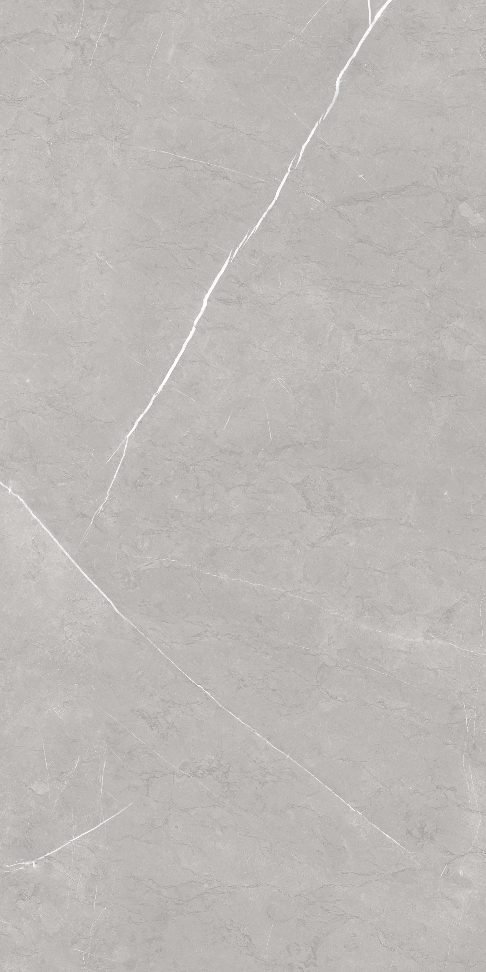 Stone Oriental Grey Matt 60x120