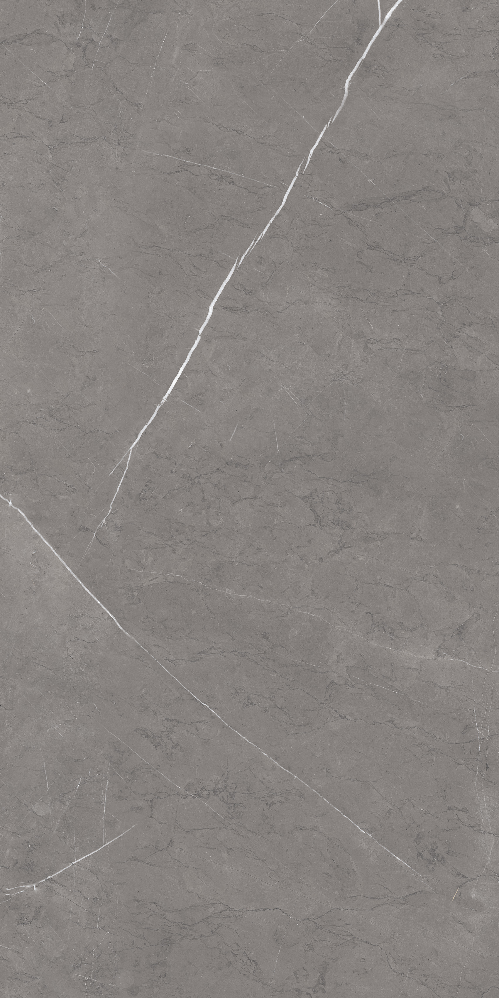 Stone Oriental Slate Matt 60x120